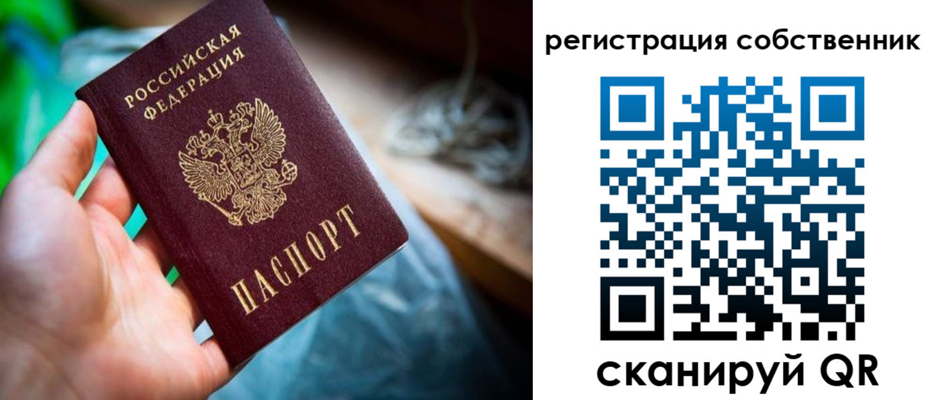 прописка гарантия в Ворсме